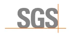sgs sgs